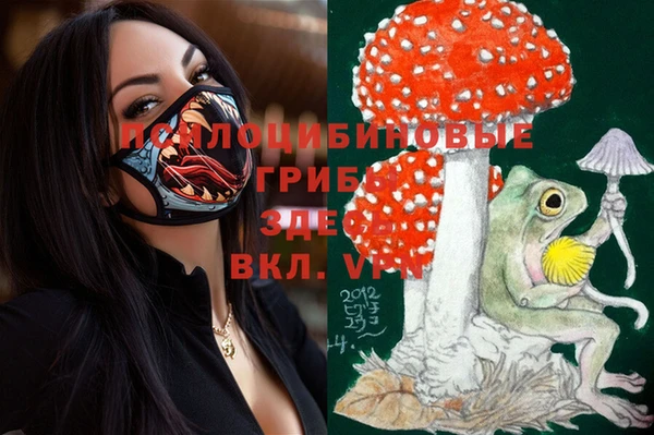 крисы Елизово