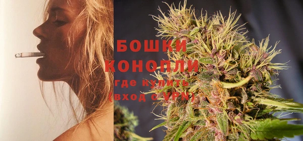 крисы Елизово