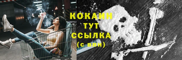крисы Елизово