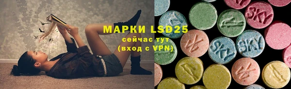 крисы Елизово