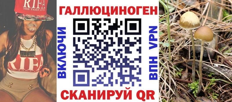 Галлюциногенные грибы Magic Shrooms  Купить закладки  Зеленоградск 